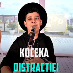 Listen to Koceka Distractiei song with lyrics from Sedan Video