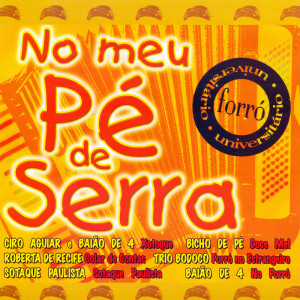 收听Forró Apimentado的Forró Apimentado歌词歌曲