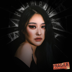 카모的專輯Fragile
