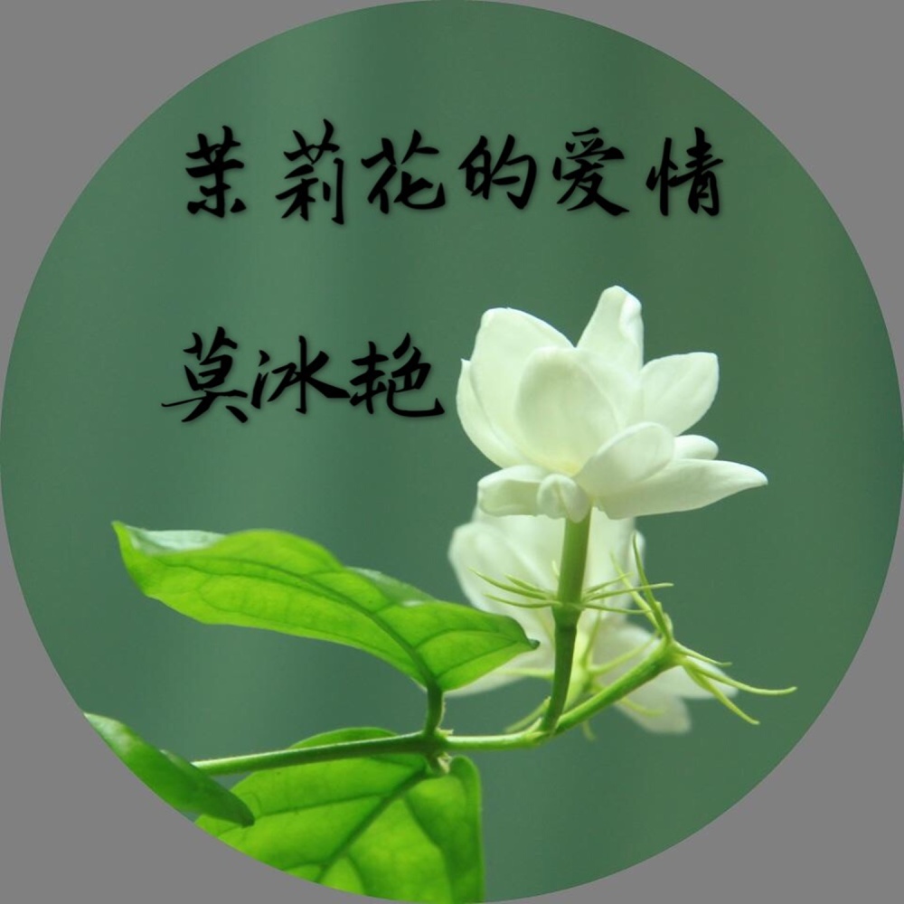 茉莉花的春燕