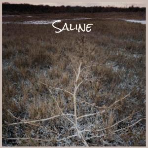 Listen to Similar Wherewithal song with lyrics from Noria Narcy
