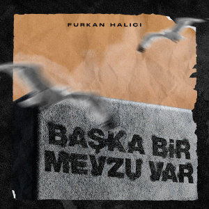 Album Başka Bir Mevzu Var from Furkan Halıcı