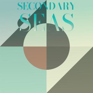 Various的专辑Secondary Seas