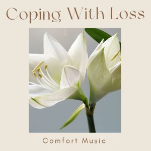 Various的专辑Coping With Loss: Comfort Music