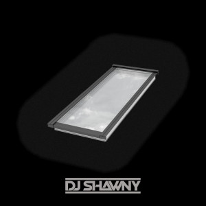 dj Shawny的專輯Skylight.