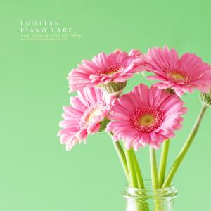 收聽Lee Yeon的Happy Today Day歌詞歌曲
