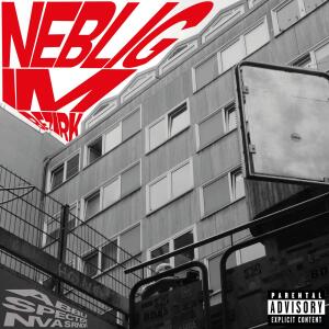 ดาวน์โหลดและฟังเพลง NEBLIGIMBEZIRK (Explicit) พร้อมเนื้อเพลงจาก Abbu