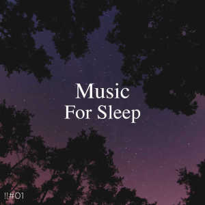 收聽Deep Sleep Music Collective的Binaural Study歌詞歌曲