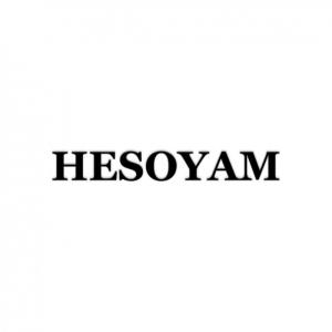 收聽Problem Boy的Hesoyam (feat. Jayy & Rouman) (Explicit)歌詞歌曲