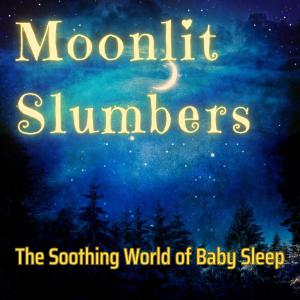 Moonlit Slumbers: The Soothing World of Baby Sleep