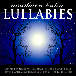收聽Newborn Baby Lullabies的Baby Music歌詞歌曲