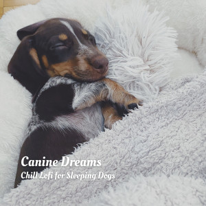 Canine Dreams: Chill Lofi for Sleeping Dogs