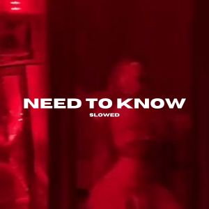 收聽Levis Remix的Need To Know - Slowed And Reverb歌詞歌曲