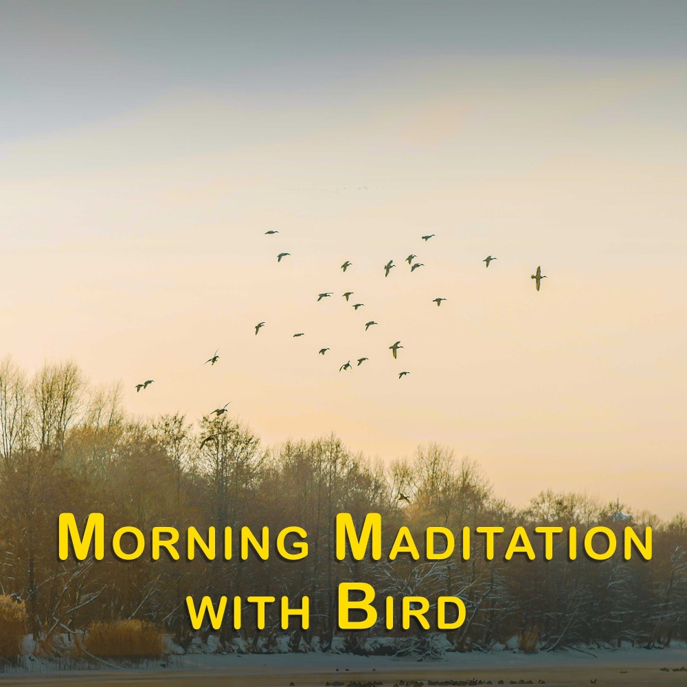 Morning Maditation with Bird