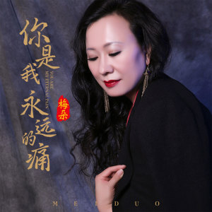 Listen to 你是我永远的痛 (伴奏) song with lyrics from 梅朵