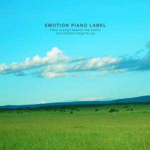 Album A Relaxing Healing Piano Collection On The Bus from Various Artists