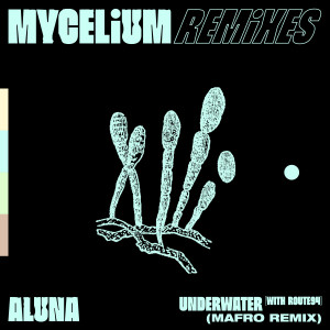 Aluna的專輯Underwater (MAFRO Remix)