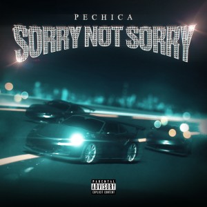 Listen to Sorry Not Sorry (Explicit) song with lyrics from PECHICA