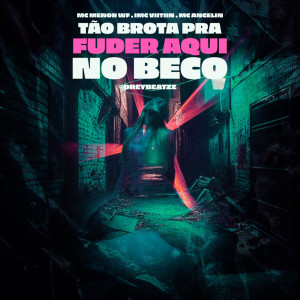 ดาวน์โหลดและฟังเพลง Tão brota pra fuder aqui no beco (Explicit) พร้อมเนื้อเพลงจาก MC Menor WF