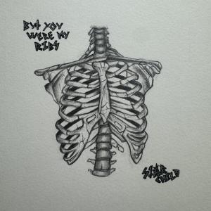 Starchild的專輯but, u were my ribs (Explicit)