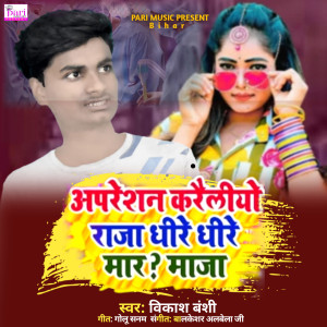 Album Apareshan Kareliyo Raja Dheere Dheere Mar Maaja from Vikash Banshi