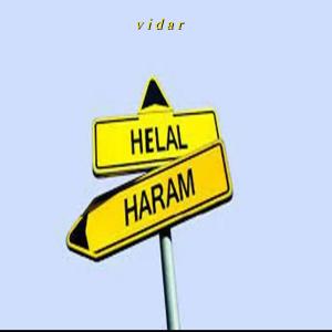Vidar的專輯Helal Haram (Explicit)