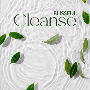 อัลบัม Blissful Cleanse (Touch of Harmony, Care for Body and Soul, Aromatherapy & Spa) ศิลปิน World of Spa Massages