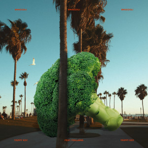 อัลบัม Broccoli (feat. Youjjang) ศิลปิน Trippyhan Kev