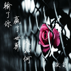Listen to 输了你赢了世界又如何 (伴奏) song with lyrics from 夜荀