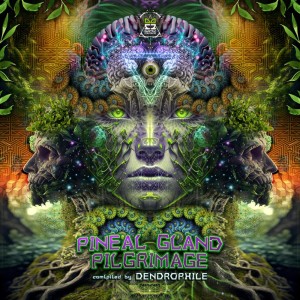 Various Artists的專輯Pineal Gland Pilgrimage