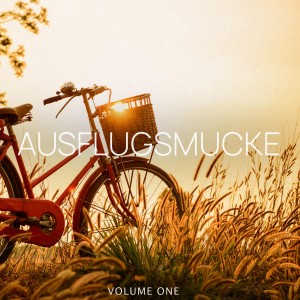 Listen to Trippy song with lyrics from Pulseshaker