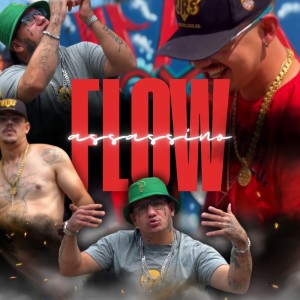 Listen to Flow Assassino song with lyrics from pisicozy