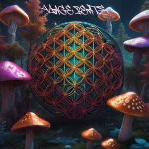 ดาวน์โหลดและฟังเพลง Shadow Healer (Explicit) พร้อมเนื้อเพลงจาก Yage Beats