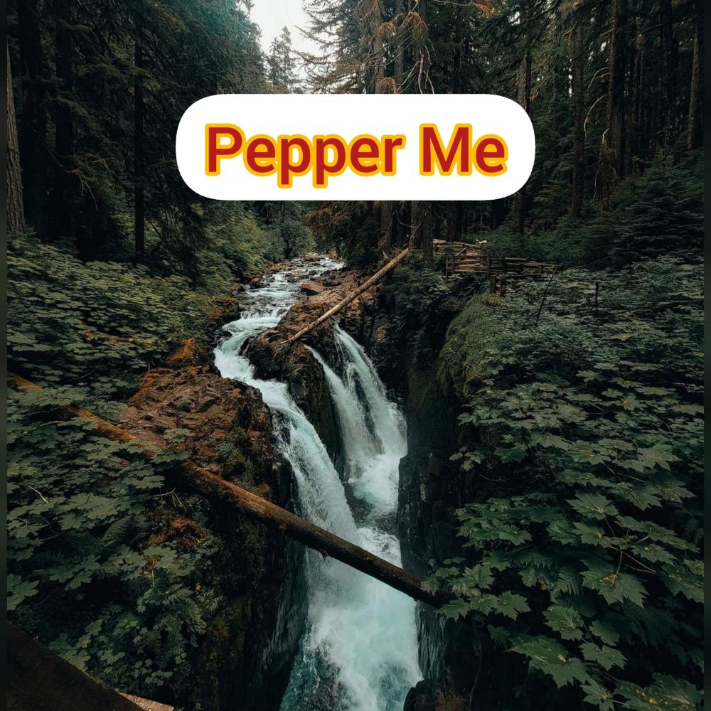 Pepper Me (feat. Lex Wani) (Explicit)