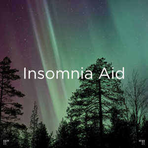 ดาวน์โหลดและฟังเพลง Bird Song For Kids พร้อมเนื้อเพลงจาก Deep Sleep
