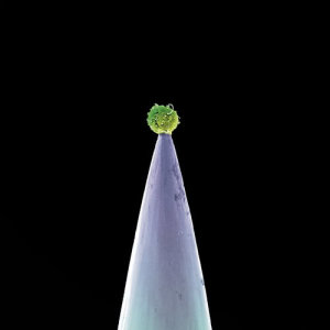 ดาวน์โหลดและฟังเพลง Wallflower (New Blood Version Instrumental) พร้อมเนื้อเพลงจาก Peter Gabriel