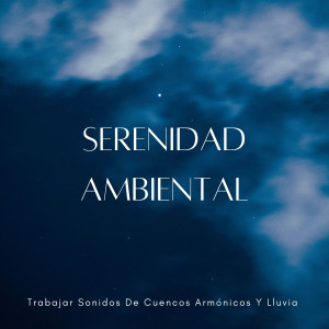 Serenidad Ambiental: Trabajar Sonidos De Cuencos Armónicos Y Lluvia dari Oriqi Soundhealing