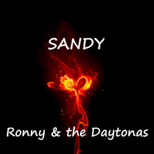收聽Ronny &Aring;ström的Sandy歌詞歌曲