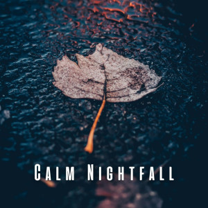 Dengarkan lagu Thunderous Tranquility nyanyian Night FX dengan lirik