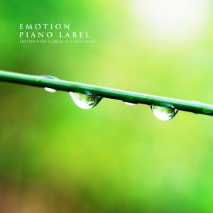Album Emotion Piano Flowing With Rain Sound (Nature Ver.) oleh Various Artists
