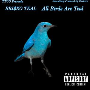 อัลบัม All Birds Are Teal (TTOO Edition) [Explicit] ศิลปิน Bri$ko Teal