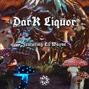 Lil Wayne的專輯Dark Liquor (feat. Lil Wayne) (Explicit)