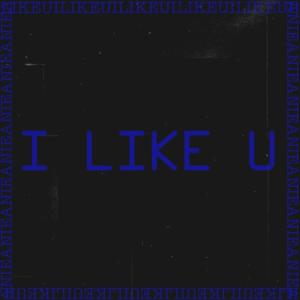 Album I Like You from Anie