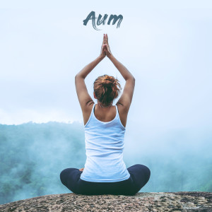 Aum Yoga的專輯Relaxing Sleep Sounds