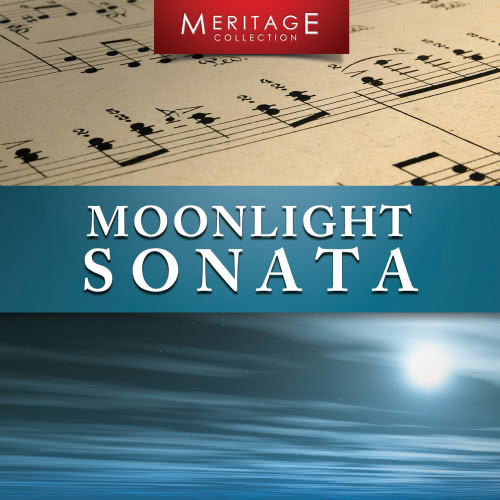 Moonlight Sonata (piano with ocean sounds)