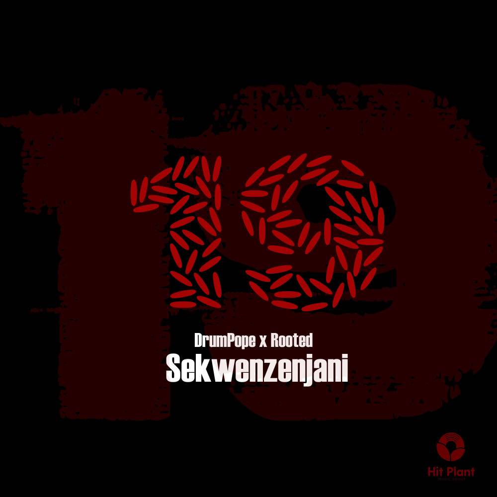 SEKWENZENJANI