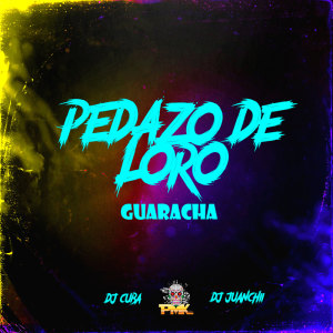 Dj Pirata的專輯Pedazo De Loros (Guaracha) (Remix)
