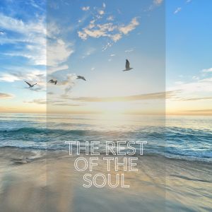 O N L Y Lofi的专辑The Rest of the Soul