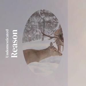 Undomesticated Reason dari Various Artists