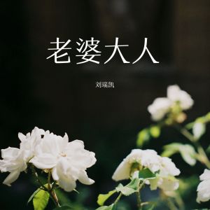 收聽劉瑞凱的老婆大人 (伴奏)歌詞歌曲